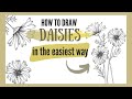 HOW TO DRAW DAISIES  - in the easiest way