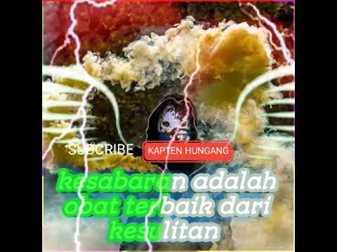 quotes pelajar - YouTube