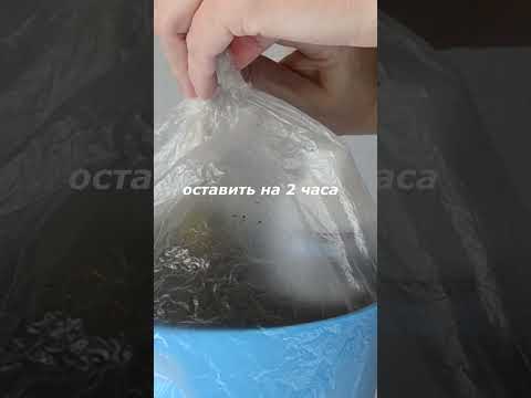 Как ИЗБАВИТЬСЯ от МОШКИ в комнатных цветах