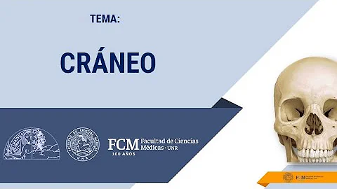 Crneo (base de crneo).