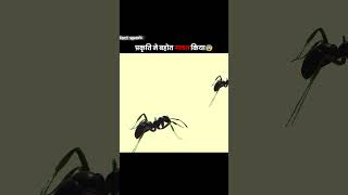 darkest truth of nature #factspark