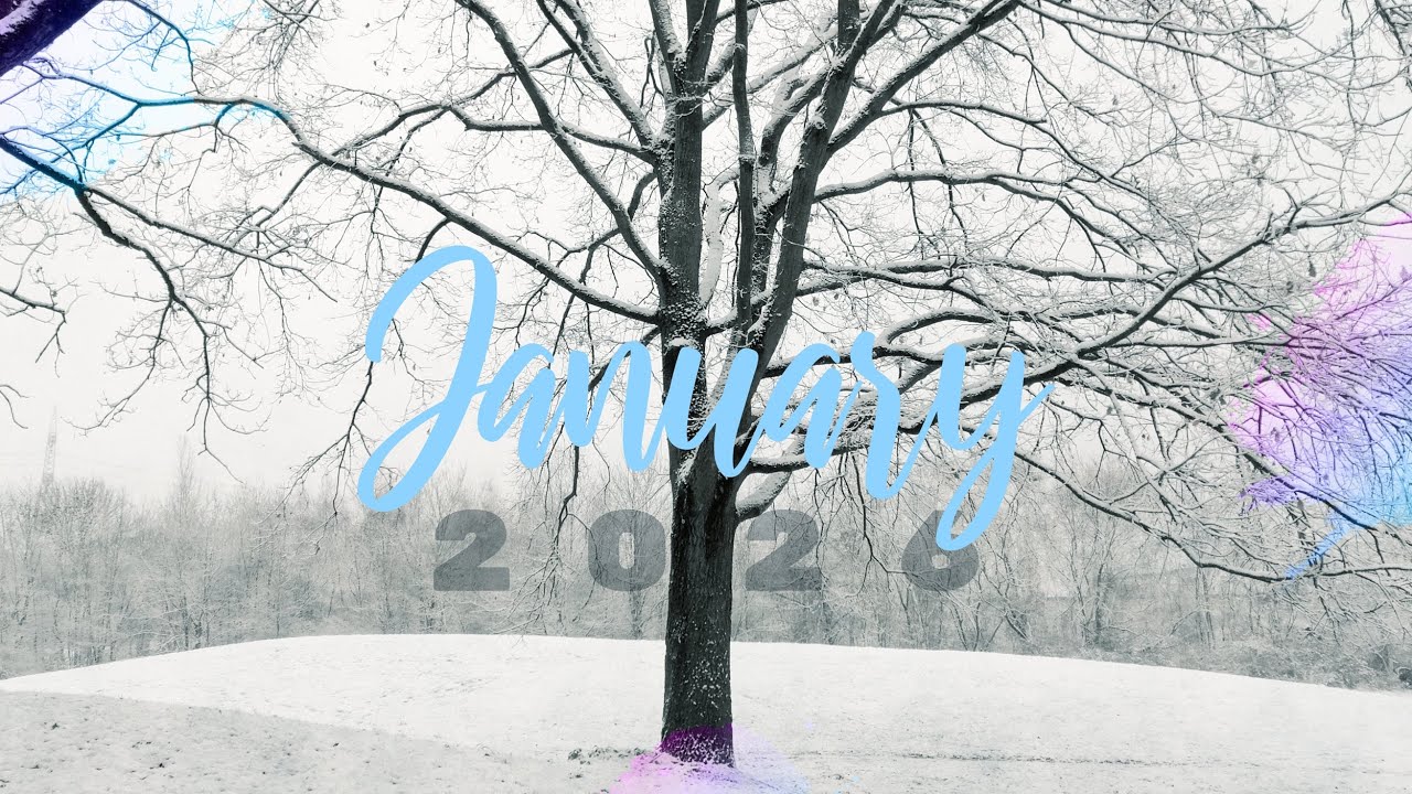 Anti-Brain-Rot Trend | January Progress | Cozy Vlog