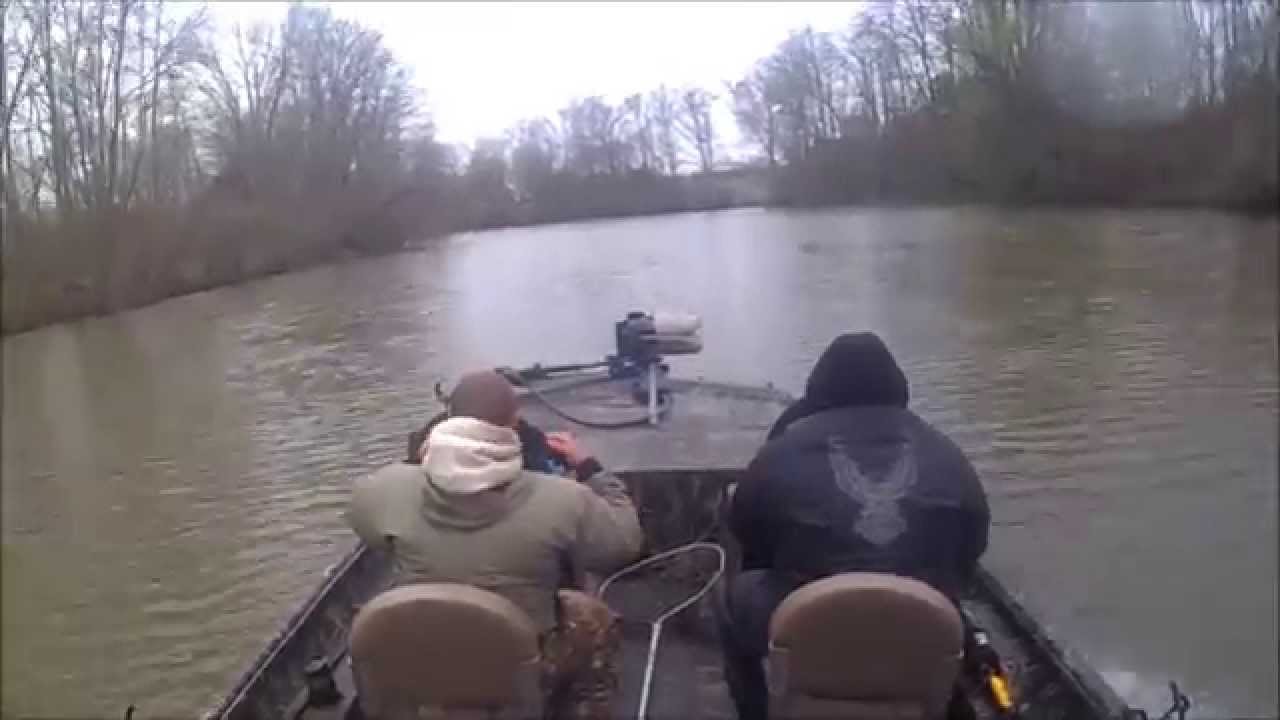 Catfish Pro Ride on the Joe YouTube