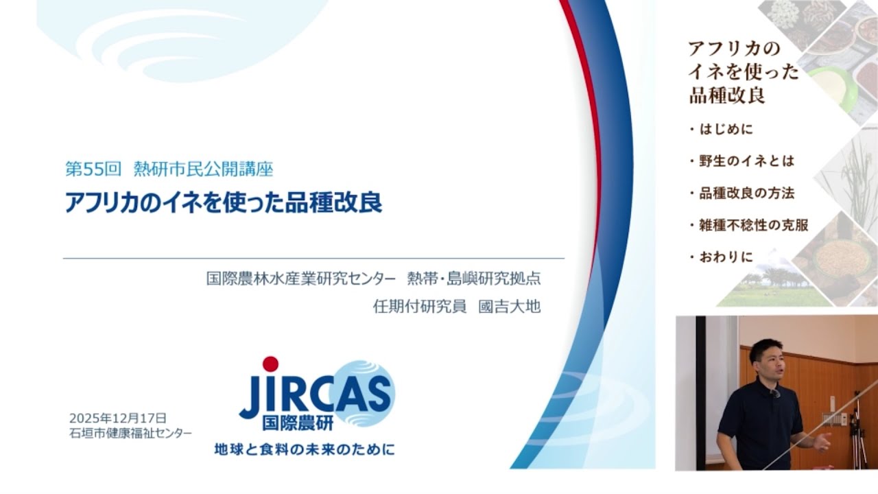 第55回熱研市民公開講座「アフリカのイネを使った品種改良」 | 国立
