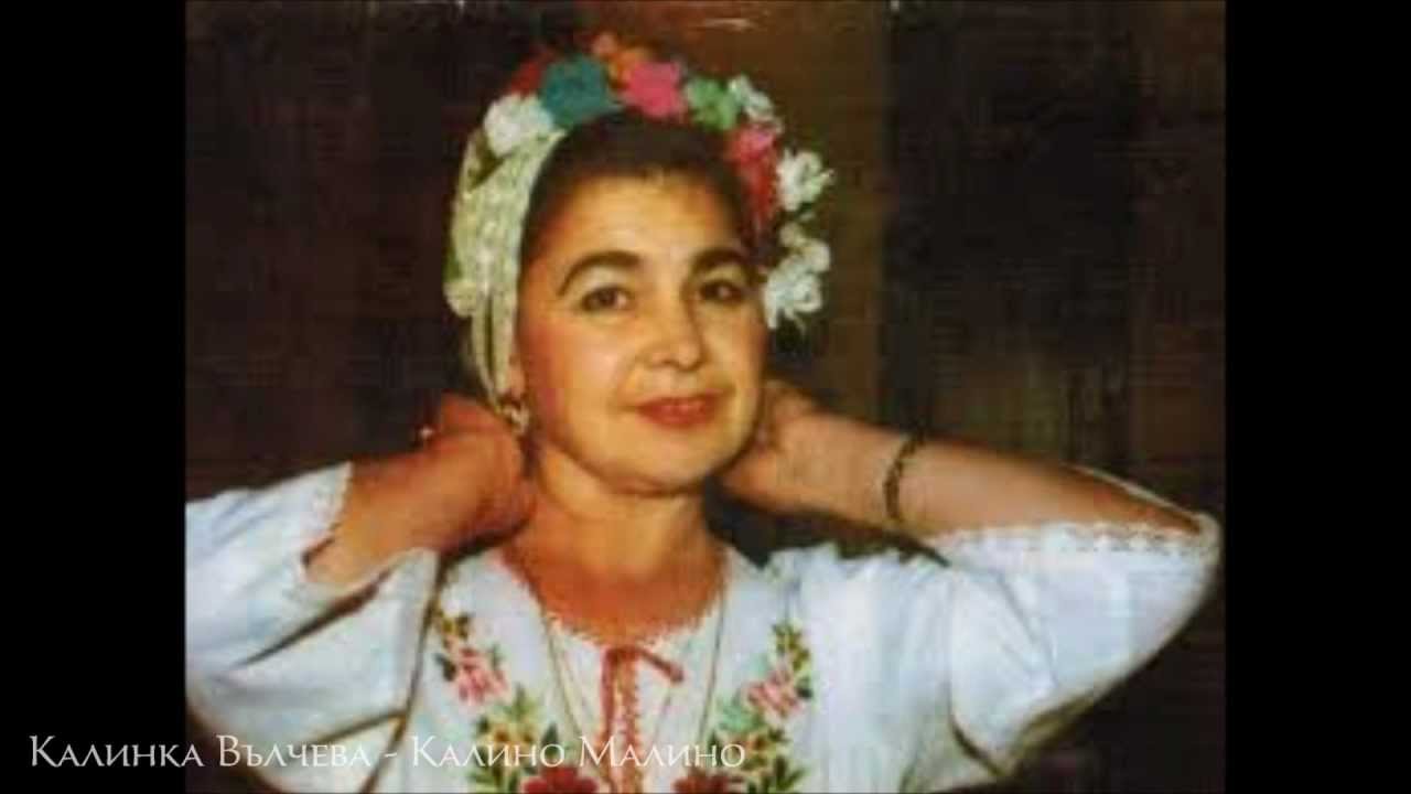 Каля никифорова калина википедия
