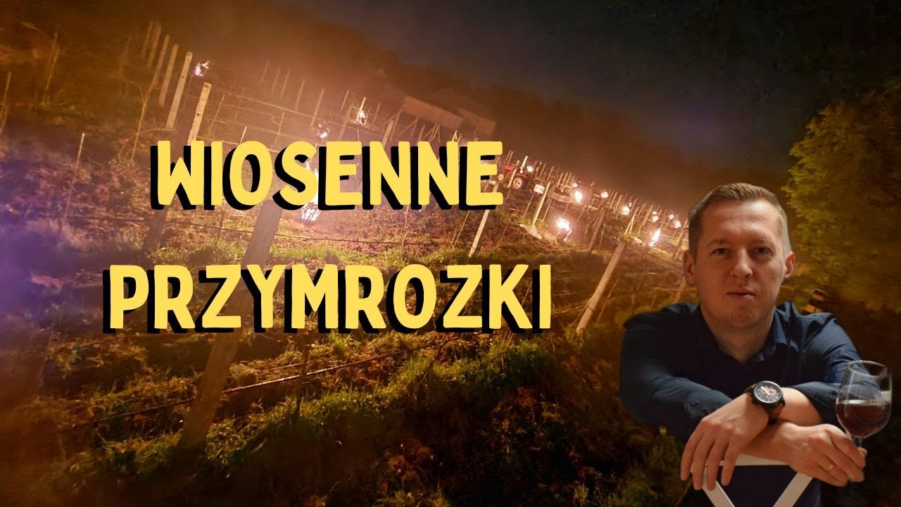 Wiosenne przymrozki w winnicy