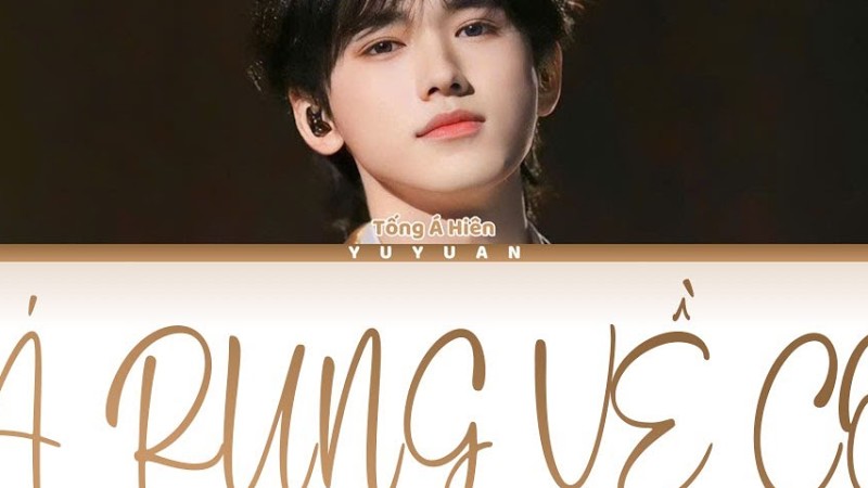 [Vietsub] Lá Rụng Về Cội 《落叶归根》 - Tống Á Hiên 【Tnt时代少年团】(Color Coded Lyrics)