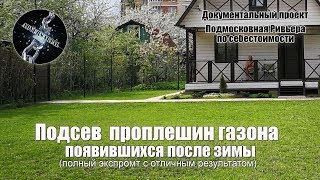 Весенний подсев газона. Убираем проплешины после зимы.