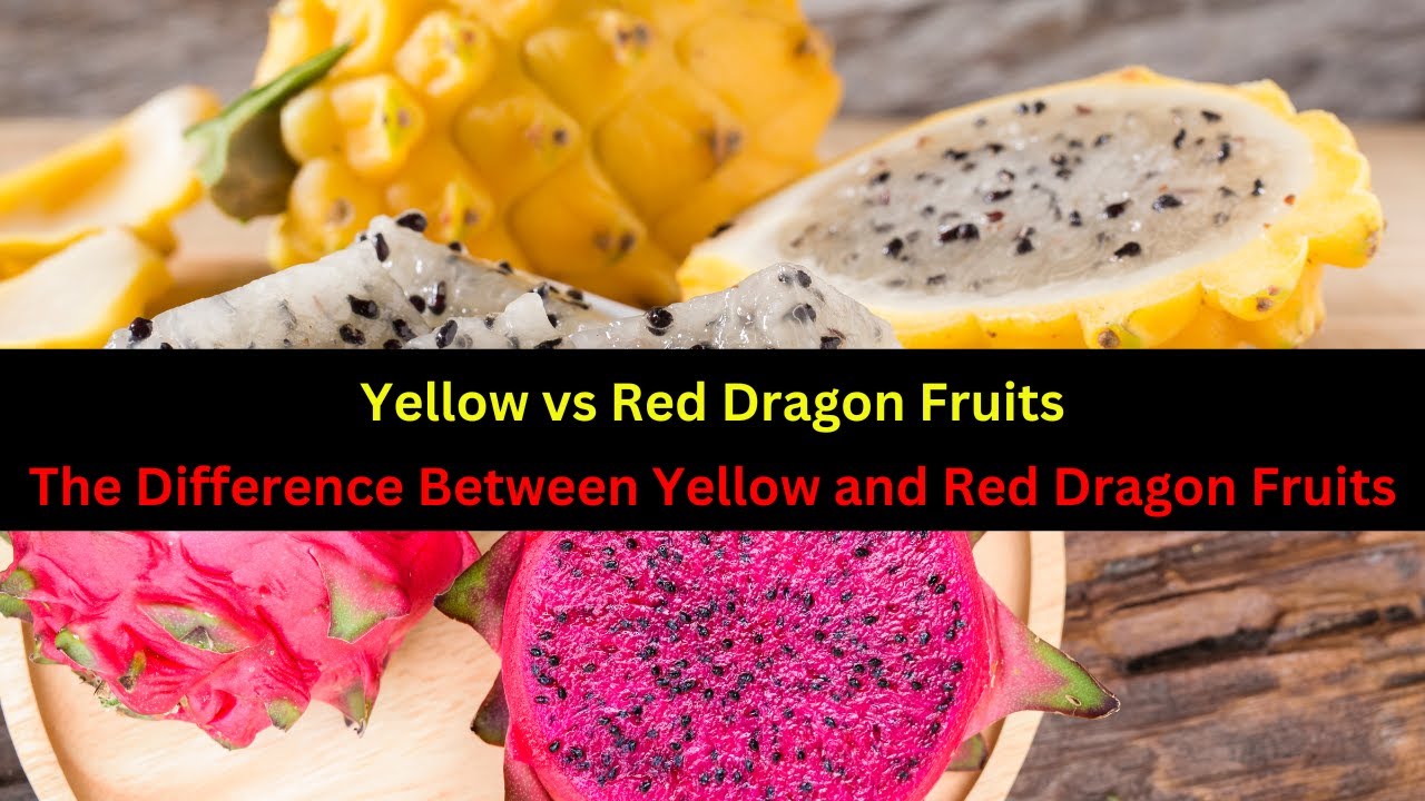 Yellow Dragon Fruit Vs Red