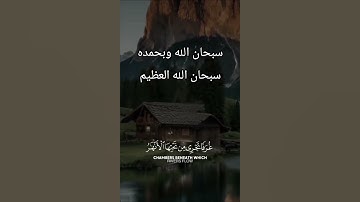 القارئ عبد الرحمن مسعد #تلاوة_هادئة #ارح_قلبك #لايك القرآن الكريم 🥹 أجر لي ولك الحمدلله 🥹🥺