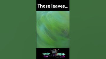 Now the leaves.. #fpvdrone #freestyle #shortsfeed #dji #5inch #fpv #shortsviral #fail #failarmy #lol