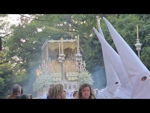 Real, Ilustre y Venerable Hermandad Sacramental de Nuestro Padre Jesús Nazareno de los Pasos en el Monte Calvario y María Santísima del Rocío Coronada