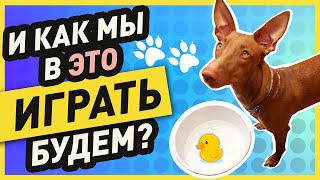 Игры, развивающие физическую активность