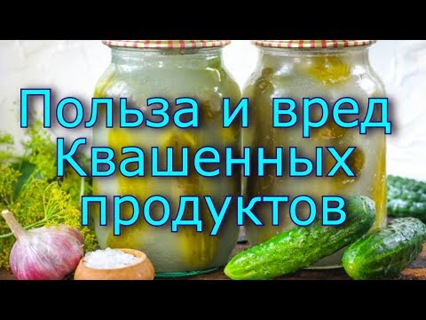 Польза и вред квашенных продуктов. Кому нельзя есть квашеные продукты