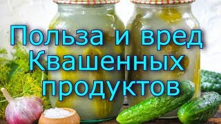 Польза и вред квашенных продуктов. Кому нельзя есть квашеные продукты