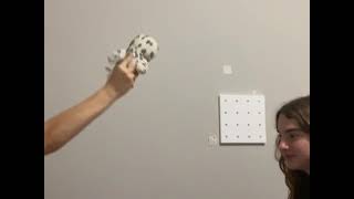 80836630402  5061F13C 2C8E 4CEE A715 3250FAE3B44C