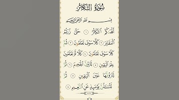 سورة التكاثر بصوت القارئ الشيخ سعد الغامدي 💕 | #سورة_التكاثر 🍂 #قرآن #quran 🤍