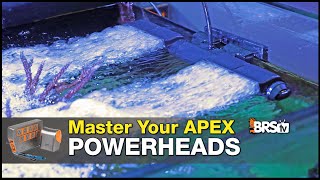 Make Your Powerheads Smarter. Connect Them To Your Apex Neptune Apex Guide