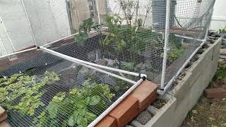 POND COVER--PVC AND MESH