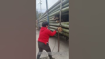 Securing Bamboo Loads with Chains🛠️ | Safe & Efficient Truck Packing Technique