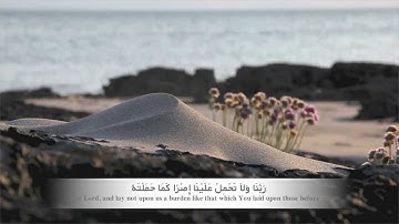 الرقية الشرعية ماجد الزامل Al Ruqyah by Majid Al Zamil