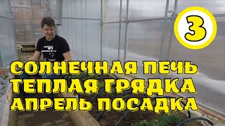 бесплатное отопление теплицы часть 3 посадка в теплицу монгольского карлика в апреле 2021 года