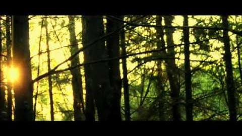 【感染創世記】予告編