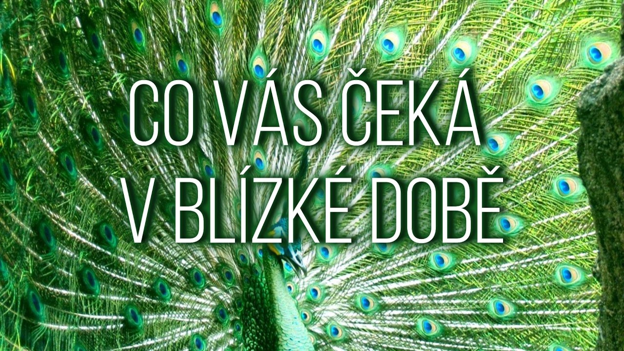 📯CO vás čeká V BLÍZKÉ DOBĚ❓ - Úklid v životě, 👑SEBEHODNOTA, ➡️POSUN V ŽIVOTĚ