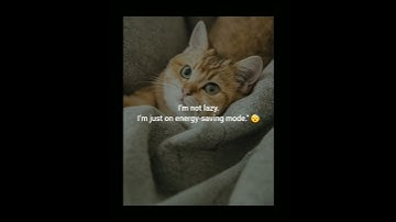 “I’m Not Lazy… Just on Energy-Saving Mode 😴 | Funny Short”