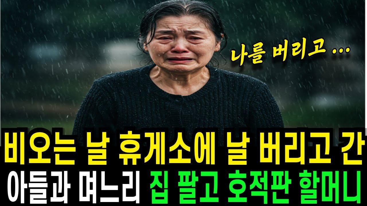 비가 오는 날 휴게소에 쓰레기 버리듯 나를 버리고 간 아들과 며느리, 똑같이 집팔고 호적에서 파 버린 할머니    시니어썰 오디오북 부모자식썰