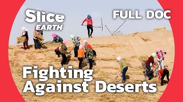 The Green Wall: China