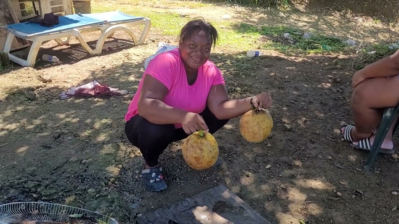 Roast Breadfruit an salt fish 🐟 😋
