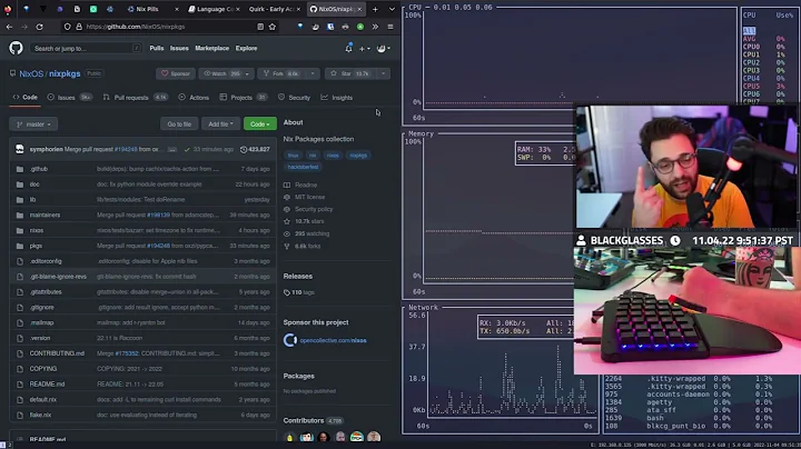 NixOS Introduction: Development Shell and Input Pa...