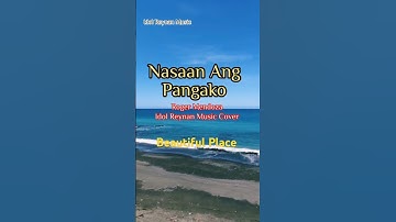 Thumbnail of Nasaan Ang Pangako/ Roger Mendoza - Cover By: Idol Reynan Music #opm #viral #short