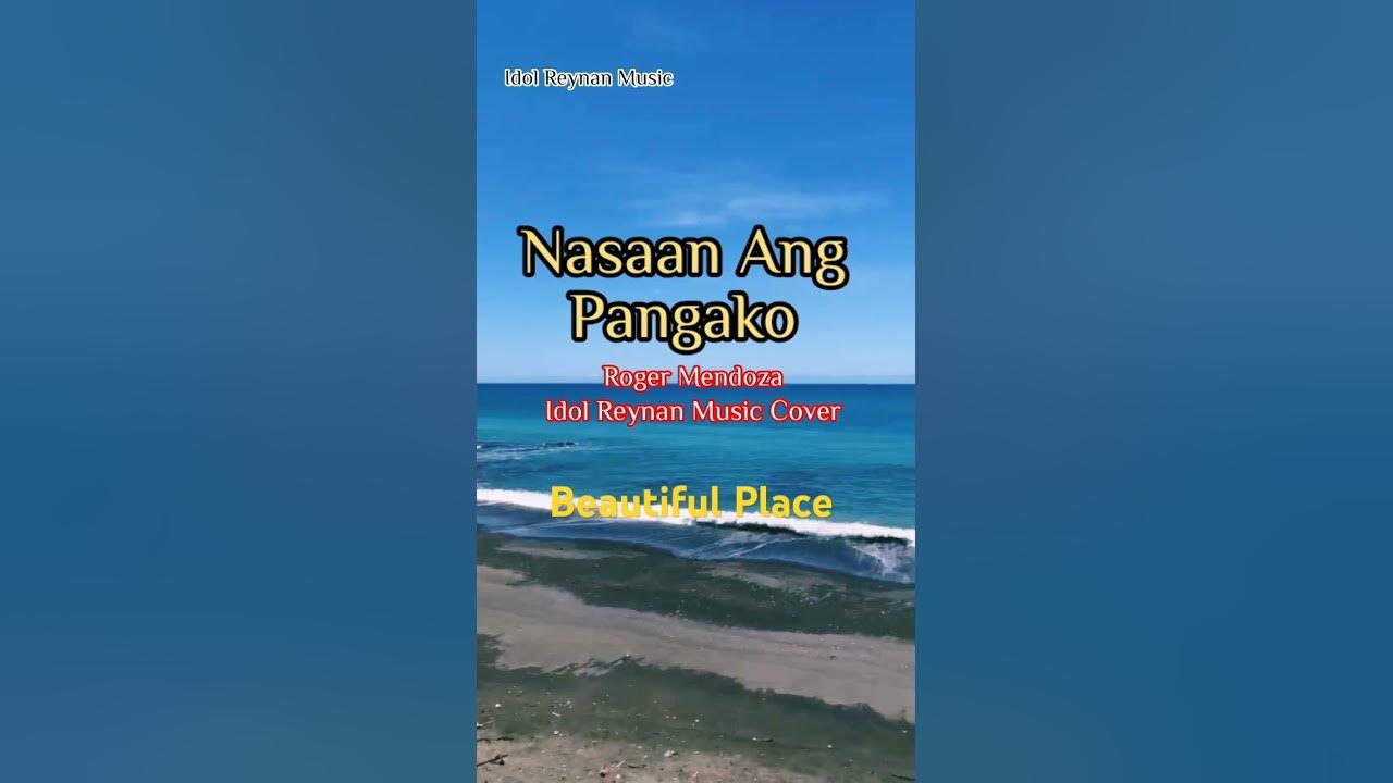 Nasaan Ang Pangako/ Roger Mendoza - Cover By: Idol Reynan Music #opm #viral #short