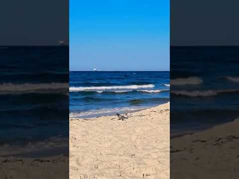 New Beach The Best Summer Will Be 2022 Summer Shorts Sea