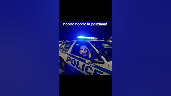 No No… La Polizia | Funny Dog in Police Car | Viral TikTok Trend (2025) #polizia #nono #viral #meme
