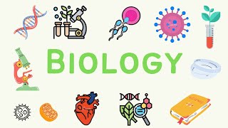 #2 A Level Biology - Transport in plants 🌳