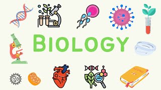 #2 A Level Biology  Transport in plants