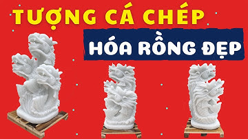 Tượng Đá Cá Chép Hóa Rồng Đẹp, Tượng Cá Chép Để Sân Vườn