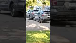 2 Cop s McKinley Park