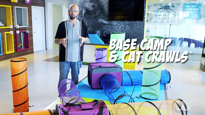 Jackson Galaxy Collection: Base Camp, Cat Crawls, Carrier