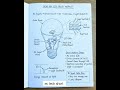 Stop Wasting Power! How LED Bulbs Really Work