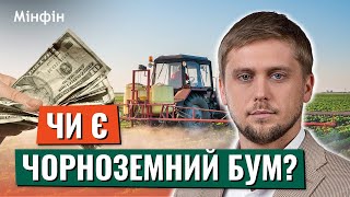 Чи розкупили всю землю? Скільки коштує земля в Україні та що відбувається на ринку землі