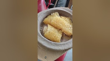 Honey bee swarm trap (part 1)