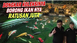 BORONG SAMPE RATUSAN JUTA DI PINGGIR JALAN !!! BORONG IKAN KOI JEPANG ISTIMEWAH PENUHIN KOLAM BARU