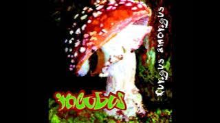 Download lagu Incubus - Trouble In 421 [HQ]