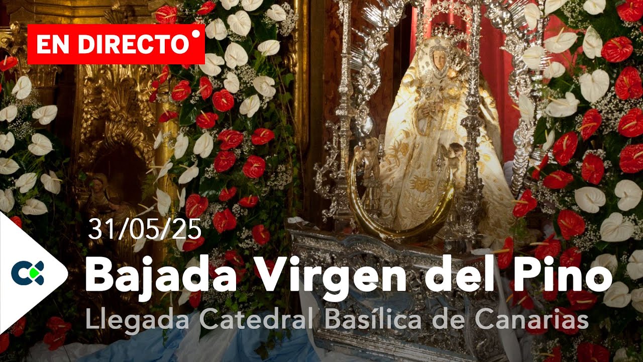 Llegada a La Catedral Basílica de Canarias | Virgen del Pino 2025