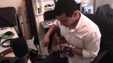 Brazilian Pagode through Action Script (Adobe Flash)