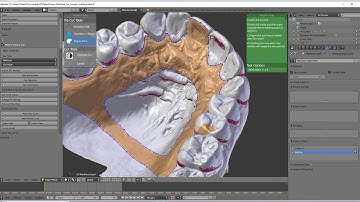 d3splint flipper hack